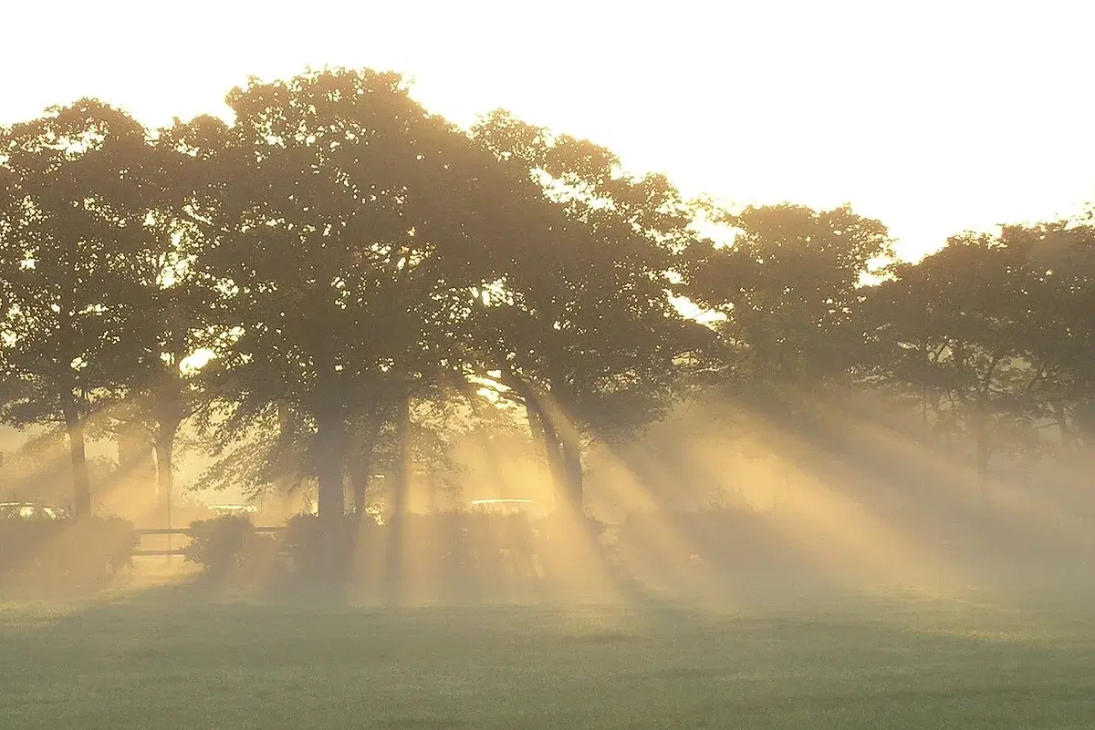 Best Walks from Gosforth