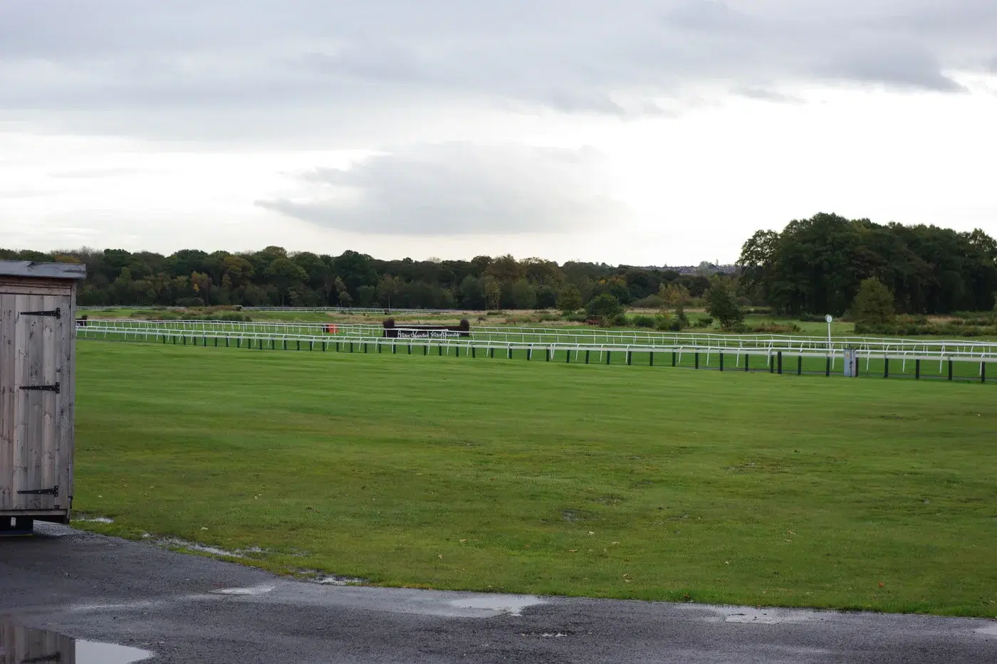 Newcastle Racecourse at High Gosforth Park: Race Days, the Northumberland Plate and How to Go